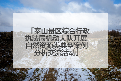 泰山景区综合行政执法局机动大队开展自然资源类典型案例分析交流活动