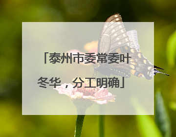 泰州市委常委叶冬华，分工明确