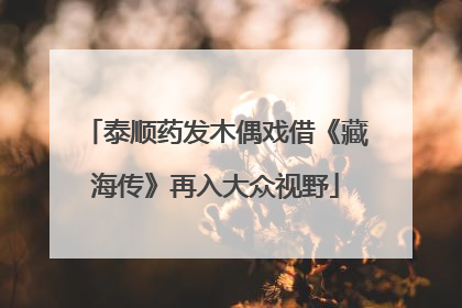 泰顺药发木偶戏借《藏海传》再入大众视野