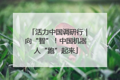 活力中国调研行｜向“智”！中国机器人“跑”起来