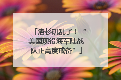 洛杉矶乱了！“美国现役海军陆战队正高度戒备”