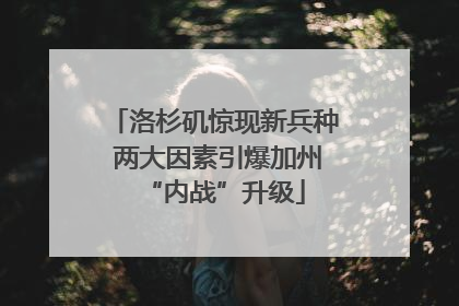 洛杉矶惊现新兵种 两大因素引爆加州“内战”升级