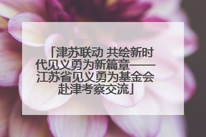 津苏联动 共绘新时代见义勇为新篇章——江苏省见义勇为基金会赴津考察交流