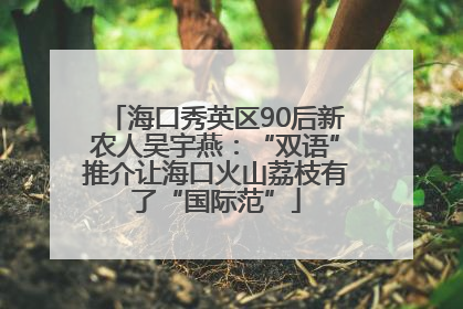 海口秀英区90后新农人吴宇燕：“双语”推介让海口火山荔枝有了“国际范”