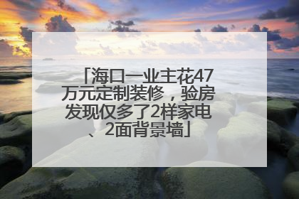 海口一业主花47万元定制装修，验房发现仅多了2样家电、2面背景墙