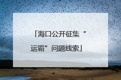 海口公开征集“运霸”问题线索