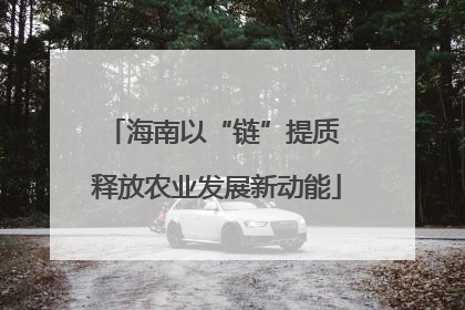 海南以“链”提质 释放农业发展新动能