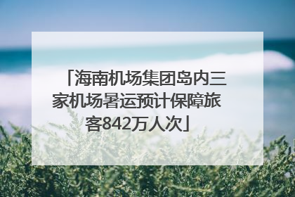 海南机场集团岛内三家机场暑运预计保障旅客842万人次