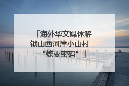 海外华文媒体解锁山西河津小山村“蝶变密码”