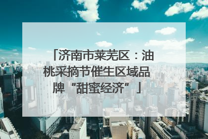 济南市莱芜区：油桃采摘节催生区域品牌“甜蜜经济”