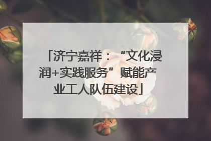济宁嘉祥：“文化浸润+实践服务”赋能产业工人队伍建设