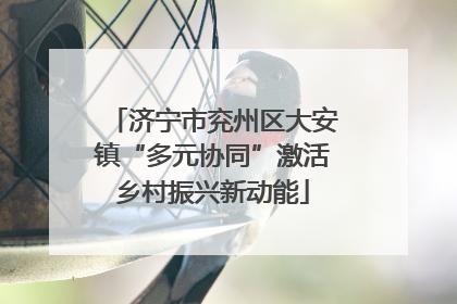 济宁市兖州区大安镇“多元协同”激活乡村振兴新动能