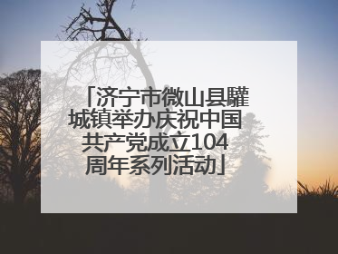 济宁市微山县驩城镇举办庆祝中国共产党成立104周年系列活动