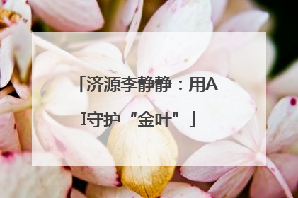 济源李静静：用AI守护“金叶”