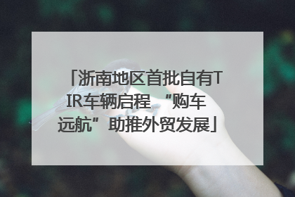浙南地区首批自有TIR车辆启程 “购车远航”助推外贸发展