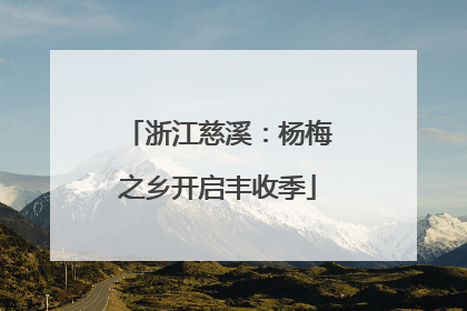 浙江慈溪：杨梅之乡开启丰收季