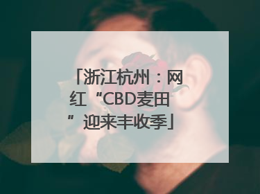 浙江杭州：网红“CBD麦田”迎来丰收季