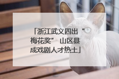 浙江武义四出“梅花奖” 山区县成戏剧人才热土
