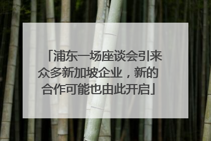 浦东一场座谈会引来众多新加坡企业，新的合作可能也由此开启