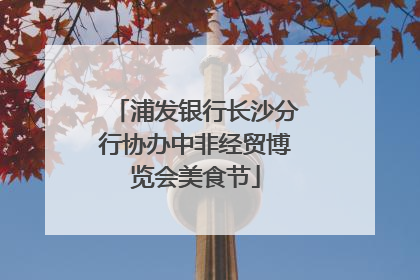 浦发银行长沙分行协办中非经贸博览会美食节