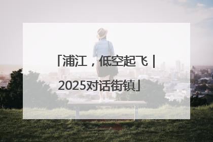浦江，低空起飞｜2025对话街镇