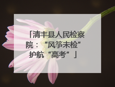 清丰县人民检察院：“风筝未检”护航“高考”