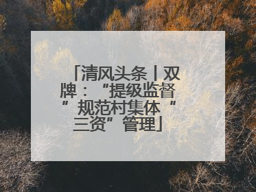清风头条丨双牌：“提级监督”规范村集体“三资”管理