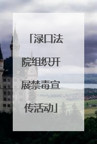 渌口法院组织开展禁毒宣传活动