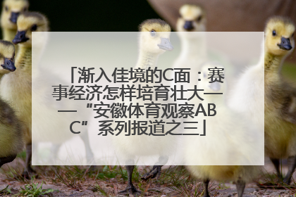渐入佳境的C面：赛事经济怎样培育壮大——“安徽体育观察ABC”系列报道之三