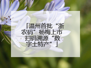 温州首批“浙农码”杨梅上市 扫码溯源“数字土特产”