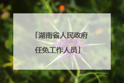 湖南省人民政府任免工作人员