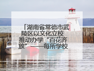 湖南省常德市武陵区以文化立校 推动办学“百花齐放”——每所学校都“精彩”