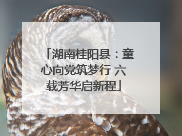 湖南桂阳县：童心向党筑梦行 六载芳华启新程