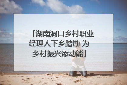 湖南洞口乡村职业经理人下乡踏勘 为乡村振兴添动能