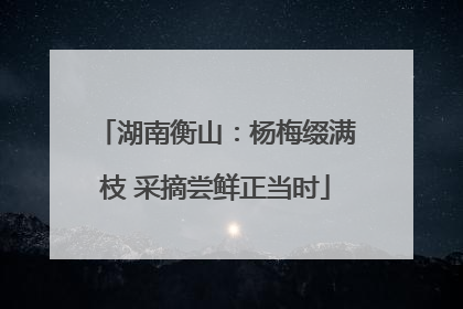 湖南衡山：杨梅缀满枝 采摘尝鲜正当时