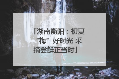 湖南衡阳：初夏“梅”好时光 采摘尝鲜正当时