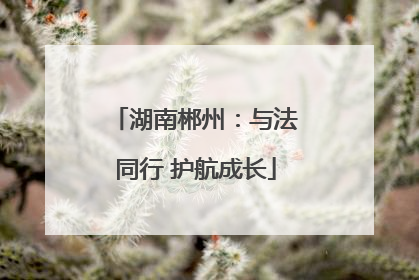 湖南郴州：与法同行 护航成长