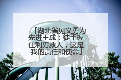 湖北省见义勇为先进王成：徒手握住利刃救人，这是我的责任和使命