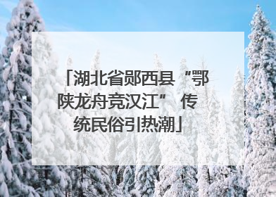 湖北省郧西县“鄂陕龙舟竞汉江” 传统民俗引热潮