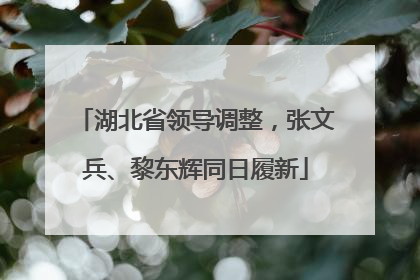 湖北省领导调整，张文兵、黎东辉同日履新