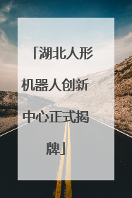 湖北人形机器人创新中心正式揭牌