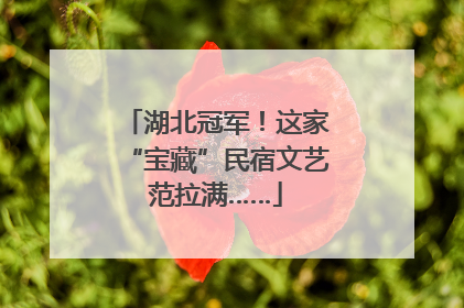 湖北冠军！这家“宝藏”民宿文艺范拉满……