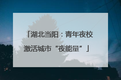 湖北当阳：青年夜校激活城市“夜能量”