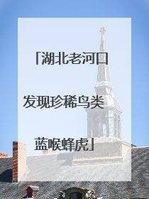 湖北老河口发现珍稀鸟类蓝喉蜂虎