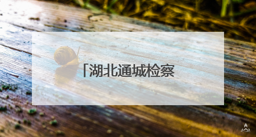 湖北通城检察：综治中心里的“法治前哨”