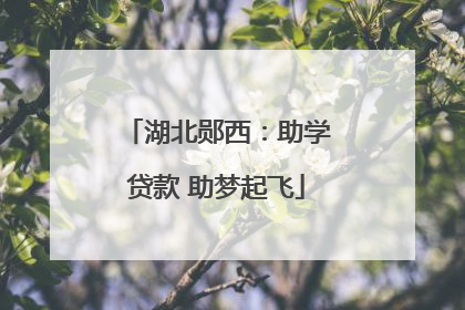 湖北郧西：助学贷款 助梦起飞