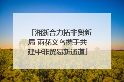 湘浙合力拓非贸新局 雨花义乌携手共建中非贸易新通道