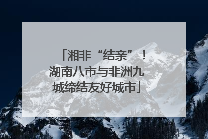 湘非“结亲”！湖南八市与非洲九城缔结友好城市