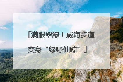 满眼翠绿！威海步道变身“绿野仙踪”
