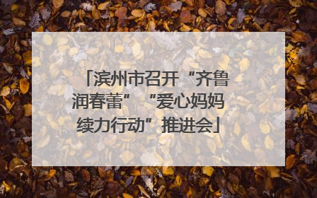 滨州市召开“齐鲁润春蕾”“爱心妈妈续力行动”推进会